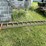 #5503-•-wooden-extension-ladder-image-1