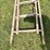 #5503-•-wooden-extension-ladder-image-5