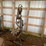 #5537-•-homemade-buzz-saw-sharpener-image-1