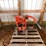 #5522-•-gilson-brothers-co.-rototiller-image-2