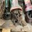 #5558-•-miscellaneous-pto's-and-3-point-parts-image-11