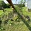 #5487-•-farm-king-grain-auger-elevator-image-11