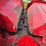 massey-ferguson-1183-image-35