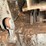 #142-•-beach-machine-chopsaw-image-5