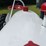 farmall-cub-demonstrator-image-12