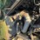 #157-•-#30525-•-2007-mack-cv-t/a-daycab-garbage-truck-vin:-1m2ag11c47m067004-image-62