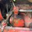 1947-farmall-h-image-52