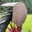 farmall-f12-image-33