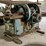 #137-•-diehl-750-straight-line-rip-saw-image-26