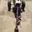 generac-50-kw-image-9