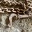 #5526-•-tractor-tire-chain-image-4