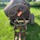 #5480-•-agc-3-1/2-s-gas-powered-cement-mixer-image-8