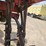 case-ih-5400-image-39