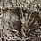 #5525-•-tractor-tire-chain-image-5