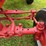 farmall-f-14-image-16