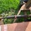 #5478-•-new-idea-pto-driven-buzz-saw-image-31