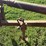 new-holland-275-image-5
