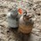 #5509-•-(2)-20-lb-propane-tanks-image-3