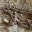 #5523-•-tractor-tire-chain-image-6