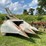 new-idea-324-image-1