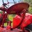 1944-farmall-hv-image-50