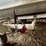 #5492-•-14'-alumacraft-boat-with-chrysler-20hp-outboard-motor-image-24