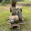 #161-•-blower-image-2