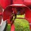 1941-farmall-av-image-47
