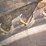 #172-•-circle-saw-blade-image-2