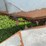 new-idea-324-image-34
