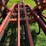 2012-krause-9-image-19