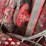 case-ih-2377-image-72