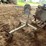 #5517-•-heavy-duty-engine-stand-image-1