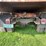 #5460-•-1973-c65-chevy-truck-(has-wi-title)-image-13