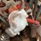 #100-•-frickco-0-rh-mill-image-24