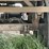 2016-great-dane-53ft-image-15