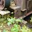 #150-•-montgomery-hog--grinder-image-24