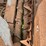 new-idea-324-image-28