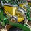 #225-•-westfield-130-71-13"-grain-auger-image-47