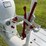 farmall-cub-demonstrator-image-52
