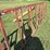 10’-adjustable-steel-sorting-gate-image-4