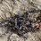 #5524-•-tractor-tire-chain-image-2