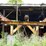 #133-•-mellott-log-deck-image-5