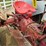 ford-8n-image-26