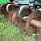 john-deere-512-image-7
