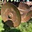 2012-krause-9-image-30