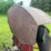 farmall-f12-image-36