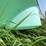 #5491-•-1000-gallon-poly-tank-image-7