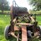 #5478-•-new-idea-pto-driven-buzz-saw-image-6