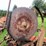 #5478-•-new-idea-pto-driven-buzz-saw-image-13